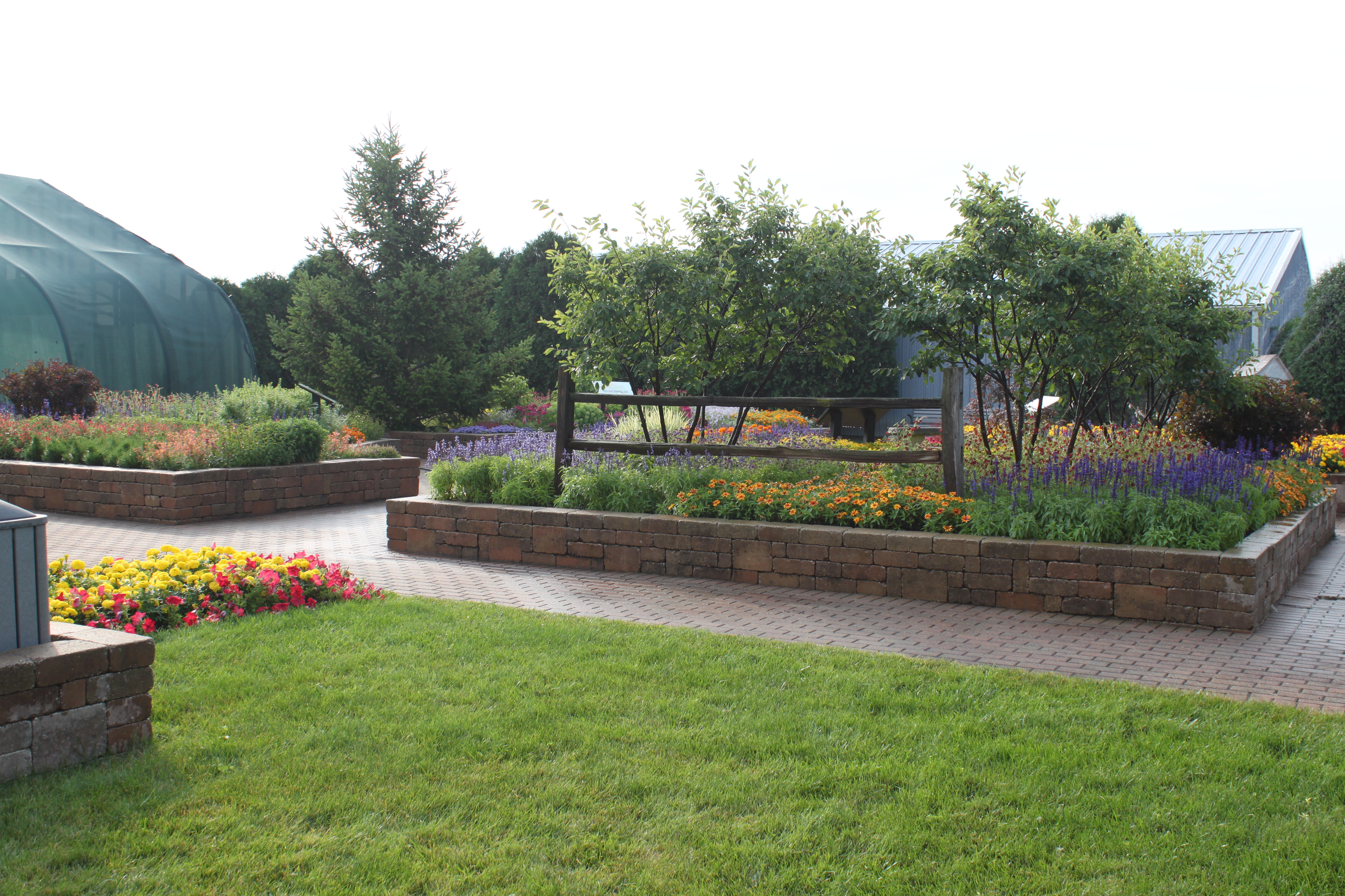 Peck Farm - Renato Jocson (2)